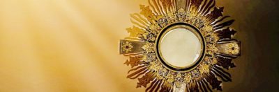 Blog – Franciscans of the Eucharist of Chicago